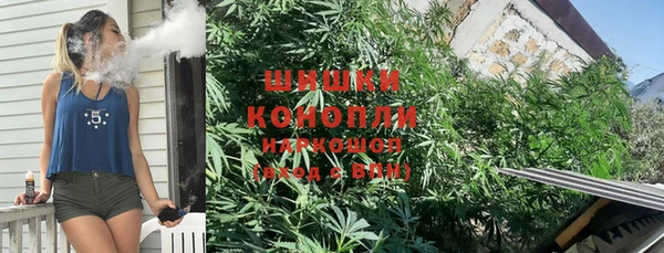 гашик Вязьма