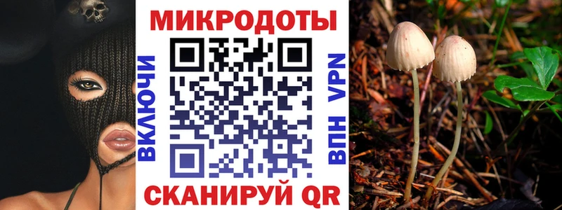 как найти   Володарск  Псилоцибиновые грибы Magic Shrooms 